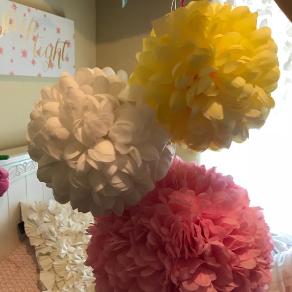 Meet your Posher, Brittany - Picture 1 of 1